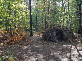 Percorso Camminata nordica Verrières-le-Buisson - Verrières 2 - Photo