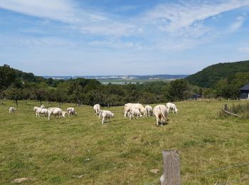 Percorso Marcia Fatouville-Grestain - Le chemin du phare - Photo