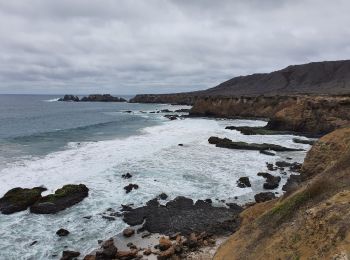 Excursión Senderismo Montecristi - Isla de la plata - Photo