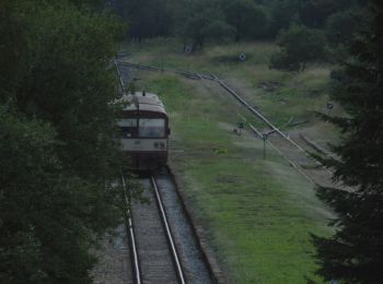 Randonnée A pied Mikulov - Sklářská NS - Photo