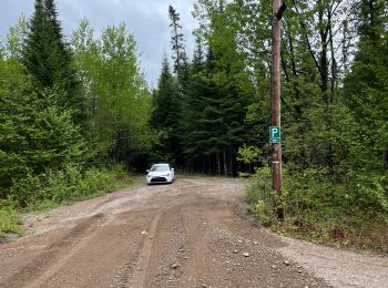 Randonnée Marche Lac-Édouard - QC - Lac Édouard - Les Bouleaux - Photo