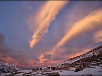 Tour Zu Fuß Vermiglio - Moor- und Moosbiotop von Tonale - Photo