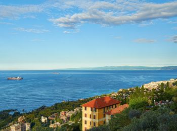 Tour Zu Fuß Genua - Nervi - Monte Cordona - Photo