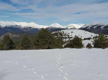 Tour Wandern La Mure-Argens - La mure montagne de  maurel 950m 14kms - Photo