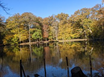 Tocht Mountainbike Saint-Germain-en-Laye - 2021102 Mesnil - Photo