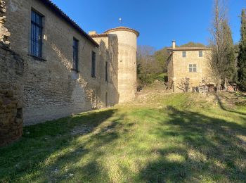 Excursión Senderismo Villelaure - Villelaure château de la reine Laure Villelaure - Photo