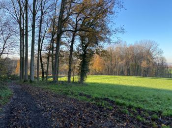 Randonnée Marche Bracle - Parike 17 km - Photo