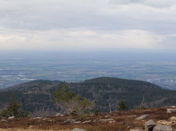 Tocht Te voet Seebach - Genießerpfad - Mummelsee-Hornisgrindepfad - Photo