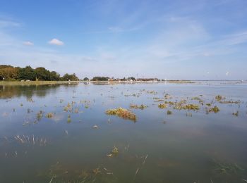 Randonnée Marche Saint-Valery-sur-Somme - Saint-Valery-sur-Somme -> Le Hourdel-> Saint-Valery-sur-Somme  - Photo