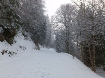 Excursión Senderismo Proveysieux - Proveyzieux- Col de la Charmette - Photo