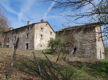 Tour Zu Fuß Bagno di Romagna - IT-B7 - Photo