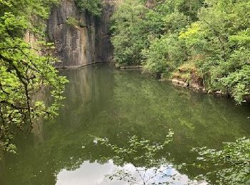 Randonnée Randonnée à dos d'âne Philippeville - La grande balade du marbre - Photo