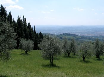 Tour Zu Fuß Florenz - IT-2 - Photo