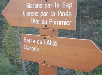 Randonnée Marche Beuil - De là Pinea au quartier le Pommier - Photo