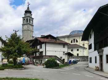 Trail On foot Forni di Sopra - IT-210 - Photo