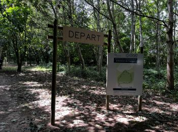 Randonnée Marche Frocourt - Parcours santé de l'arboretum de Frocourt - Photo