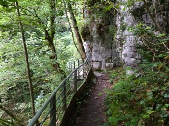 Randonnée Marche Saint-Christophe - 38 st Christophe sur guiers grottes guiers vif - Photo