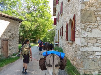 Percorso Marcia Vassieux-en-Vercors - Vassieux en Vercors- La Chapelle en Vercors- Rando Âne (2 et 3 ème jour) -  - Photo