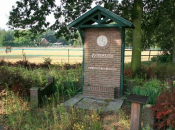 Randonnée A pied Woensdrecht - Wandelpad Kikker - Photo