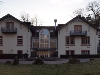 Randonnée A pied  - Waldlaufparcours Vogelwoog Grün - Photo