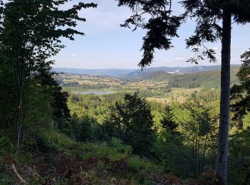 Tour Mountainbike Charix - Retour lac Genin par lac de Viry - Photo