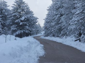 Randonnée A pied Tèmpiu/Tempio Pausania - Sentiero Italia - Tappa Z33 - Photo