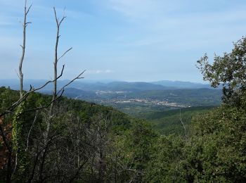 Excursión Senderismo Pignans - Pignan - ND des Anges. - Photo