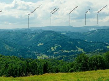 Randonnée A pied Jaworze - Szlak Szklany - Photo