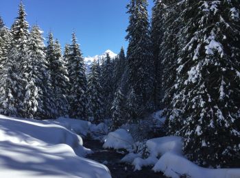 Excursión Raquetas de nieve Sixt-Fer-à-Cheval - Refuge de Gers - Photo