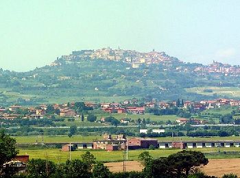 Randonnée A pied Montepulciano - Sentiero naturalistico nr. 3 - Photo