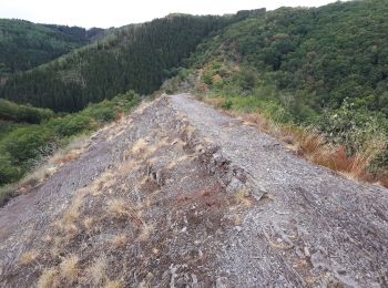 Percorso Marcia Bourscheid - Lee Trail Jour 2 - Photo
