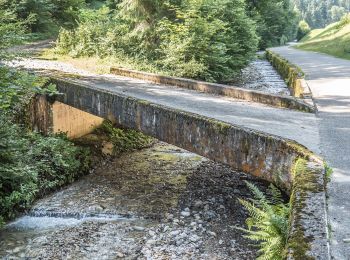 Percorso A piedi Luthern - Mülibüel - Chrüzstigen - Photo