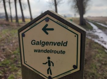 Trail Walking Ninove - Galgenveld - Photo