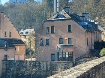 Tocht Stappen Luxemburg - Luxembourg ascenseur  - Photo