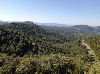 Tour Wandern Malaucène - les crêtes autour de suzette - Photo