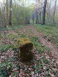 Percorso Marcia Musson - A la frontière  - Photo