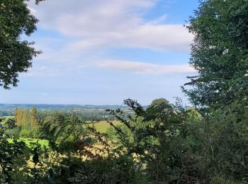 Trail Walking Le Loroux - rrr - Photo