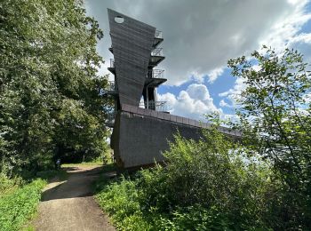 Tour Wandern Zonhoven - Wijvenheijde Zonhoven 14,3 km - Photo