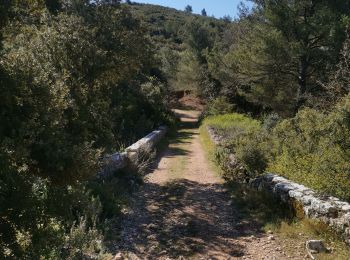 Excursión Bici de montaña Vitrolles - Plateau 50km - Photo