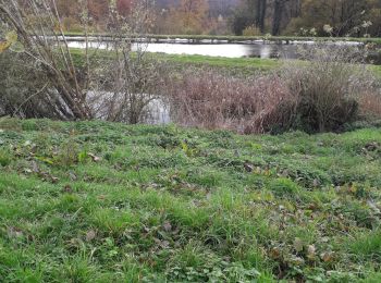 Tour Wandern Saint-Ouen-de-Thouberville - Saint-Ouen de Thouberville.  Vers la pierre Tourmante et le Mesnil version 12-11-21 - Photo