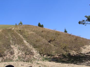 Tour Zu Fuß  - Slătioara – Hotel Rarău (red triangle) - Photo