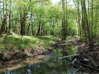 Trail On foot Blankenfelde-Mahlow - Naturlehrpfad - Photo