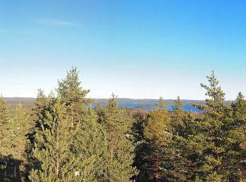 Trail On foot Äänekoski - Laulava Mörön Polku - Photo