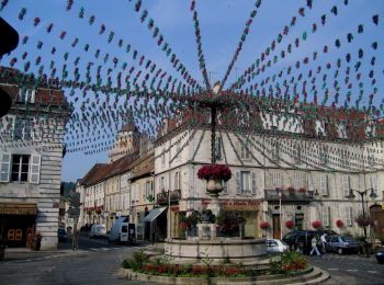 Percorso A piedi Arbois - Entre Bois et Vignes - Photo