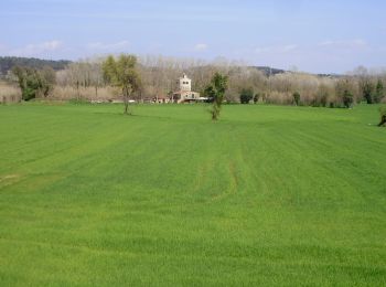 Trail On foot Sant Gregori - De Sant Gregori a Santa Afra - Photo