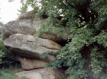 Tour Zu Fuß Gemeinde Rappottenstein - Guttenbergweg 2 - Photo