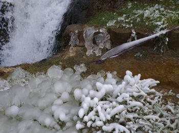 Trail Walking Vaire - vaire le grand  - Photo