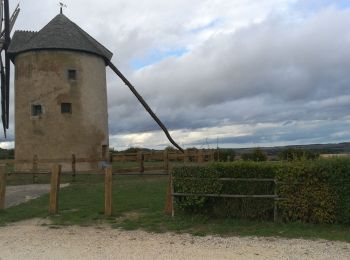 Percorso Marcia Vézelay - Vézelay-Breuil-Ambert 011022 - Photo