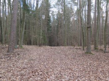 Percorso A piedi Ebelsbach - Schönbrunner Runde - Photo