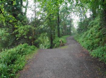 Trail On foot North Devon - Heddon Valley to Woody Bay Walk - Photo